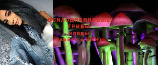 spice Зеленокумск